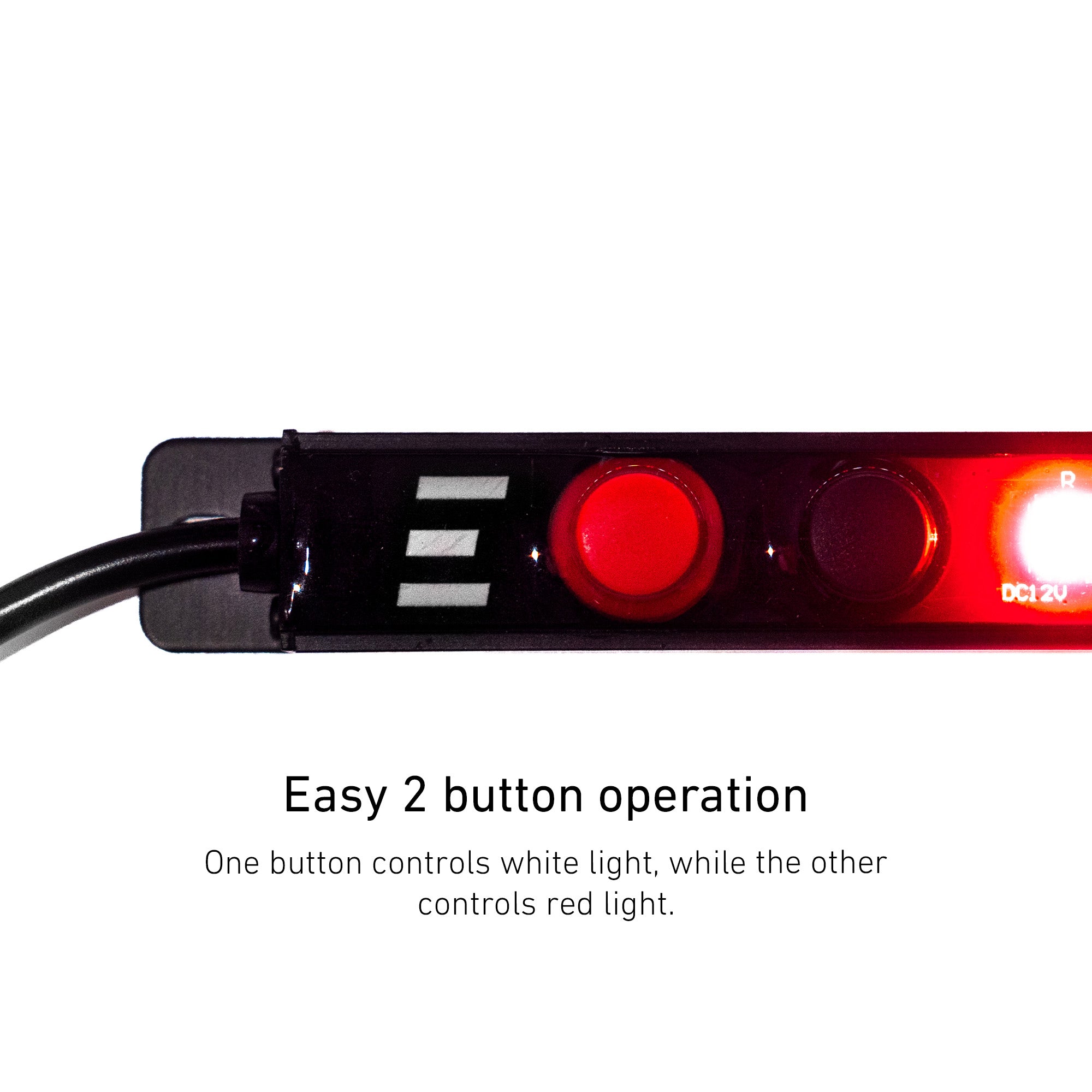 Two Tone™ Strip Light